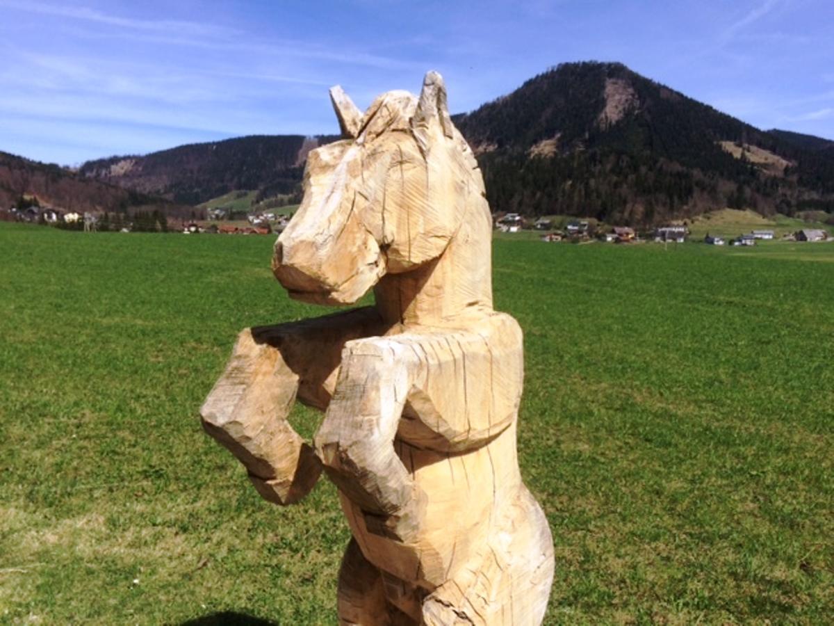 "Hochegg" Hotel Faistenau Bagian luar foto